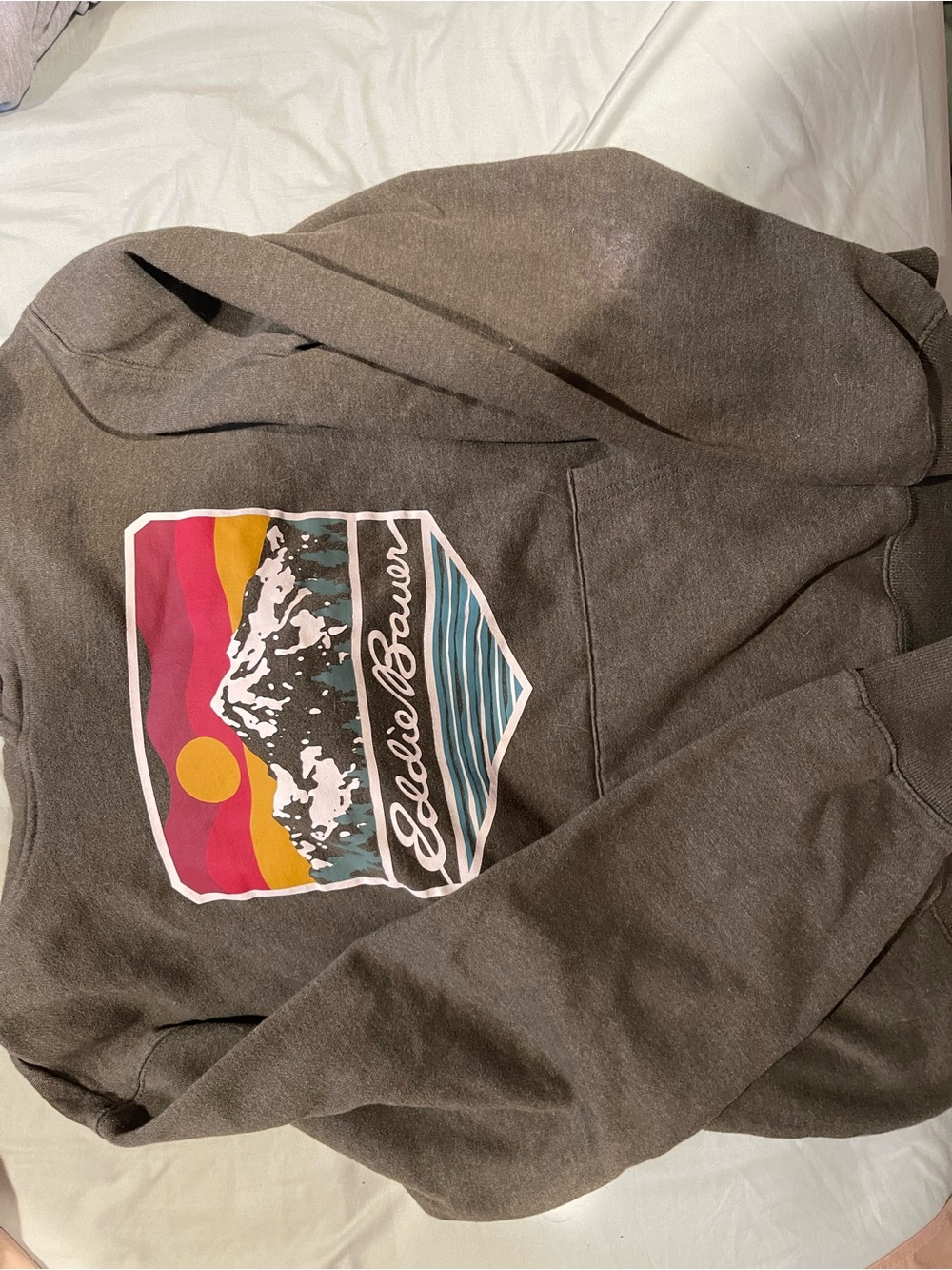 Eddie Bauer Brown Hoodie with Colorful Mountain Graphic